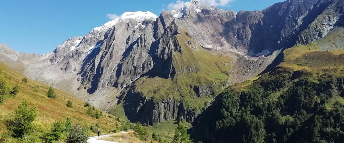 Auf die Rotbachlspitze